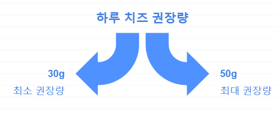 하루 권장량