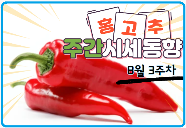  [경매사 고추품종별 주간 동향보고] 다른 고추보다는 시세가 좀 나은 "홍고추" (8월 3주차)