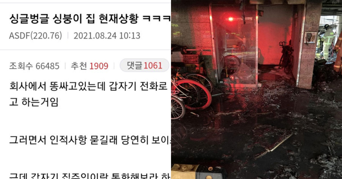 회사에서 똥 싸다 집에 불났다는 소식을 들은 디씨인