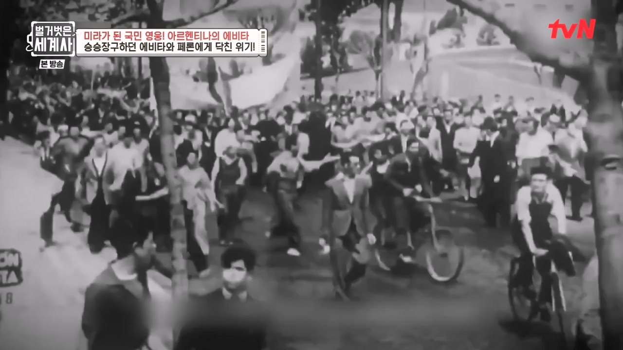 벌거벗은 세계사.E111.230809p-NEXT.mp4_20240224_181745.091.jpg