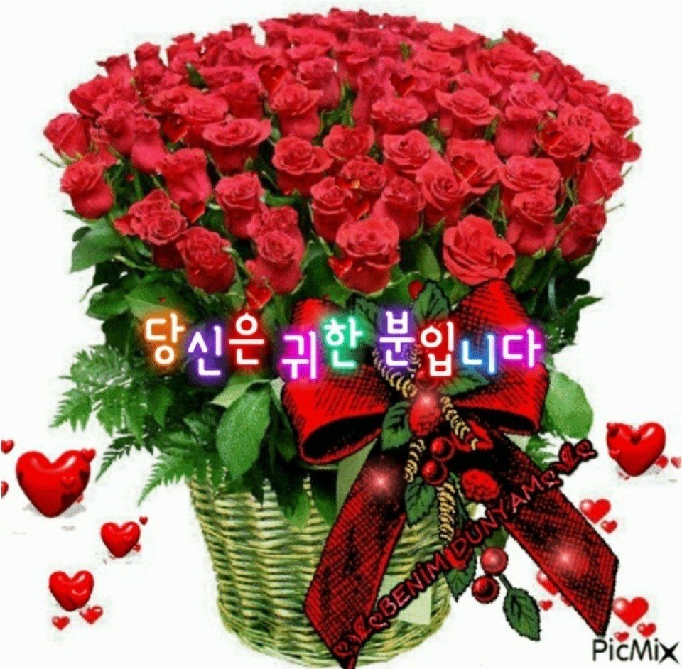 당신이꽃 이미지