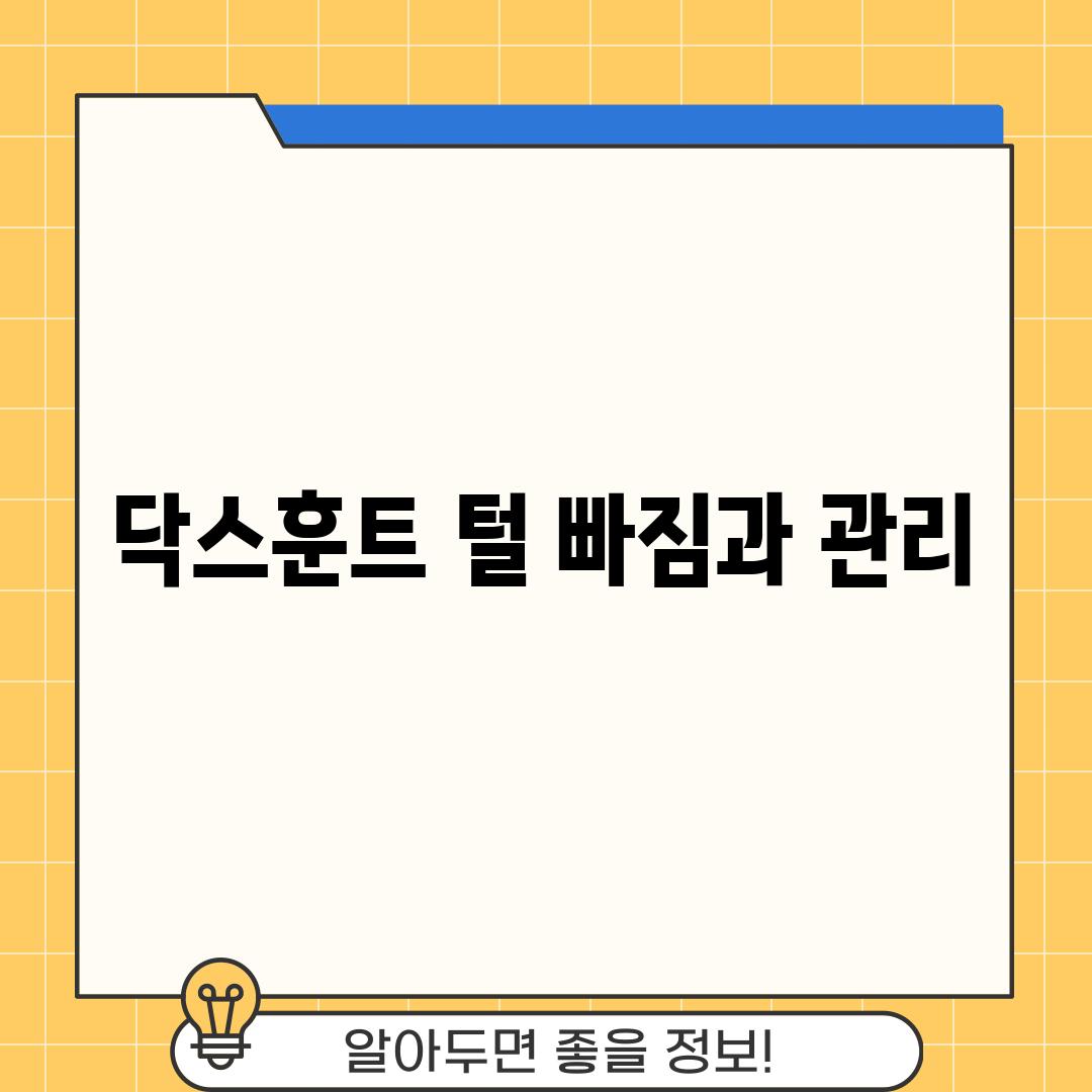 닥스훈트 털 빠짐과 관리