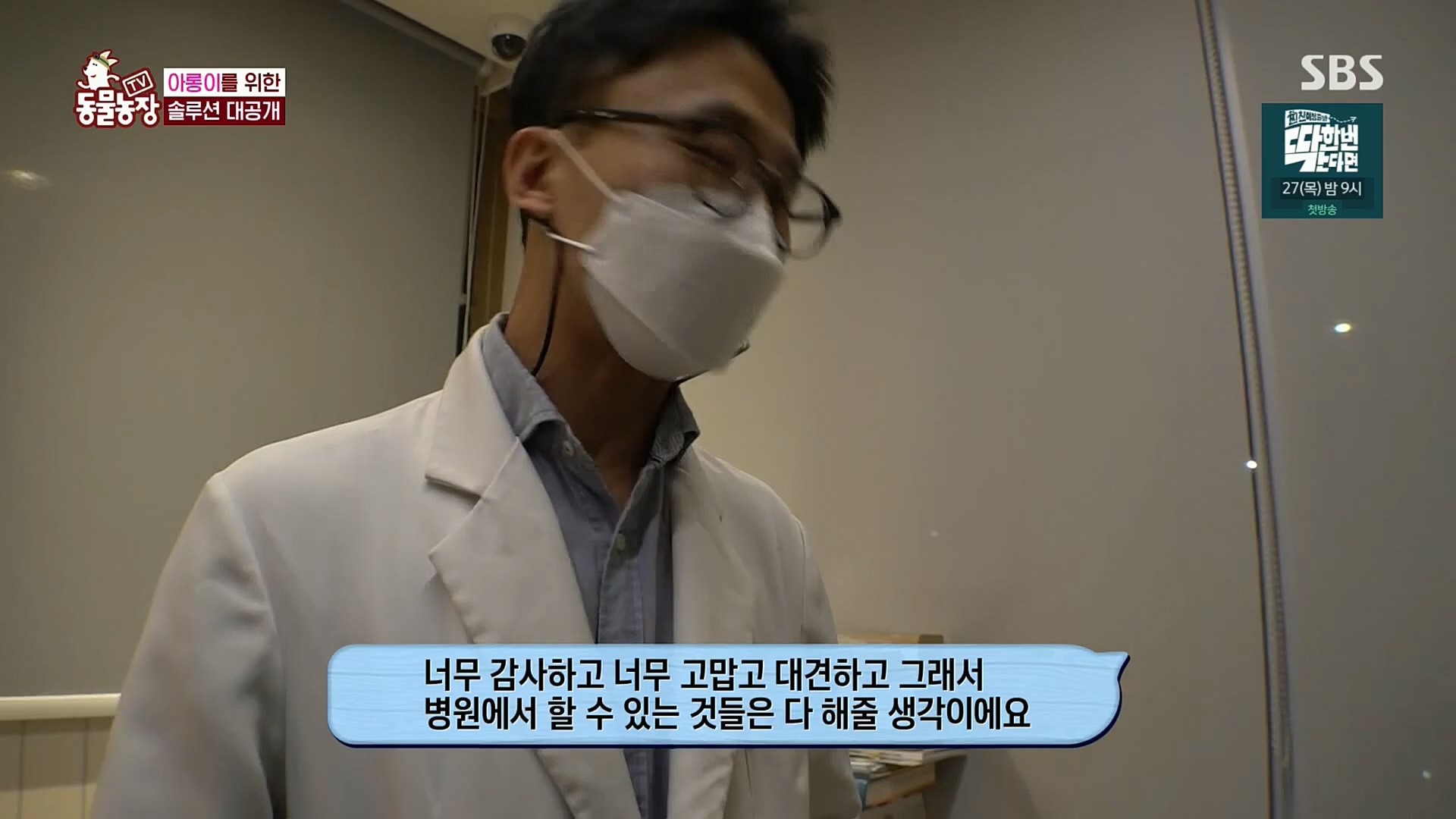 TV 동물농장.E1092.221023p.H264-F1RST.mp4_20221023_182751.027.jpg