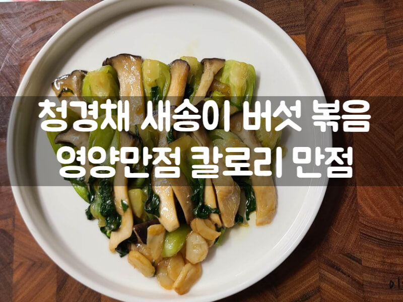 밑반찬 레시피 청경채 새송이버섯 볶음 효능 칼로리 정리