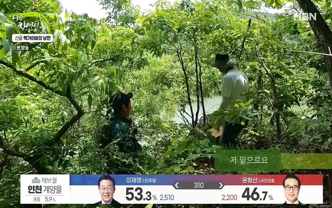 나는 자연인이다.E504.220602p-NEXT.mp4_20220602_201436.228.jpg