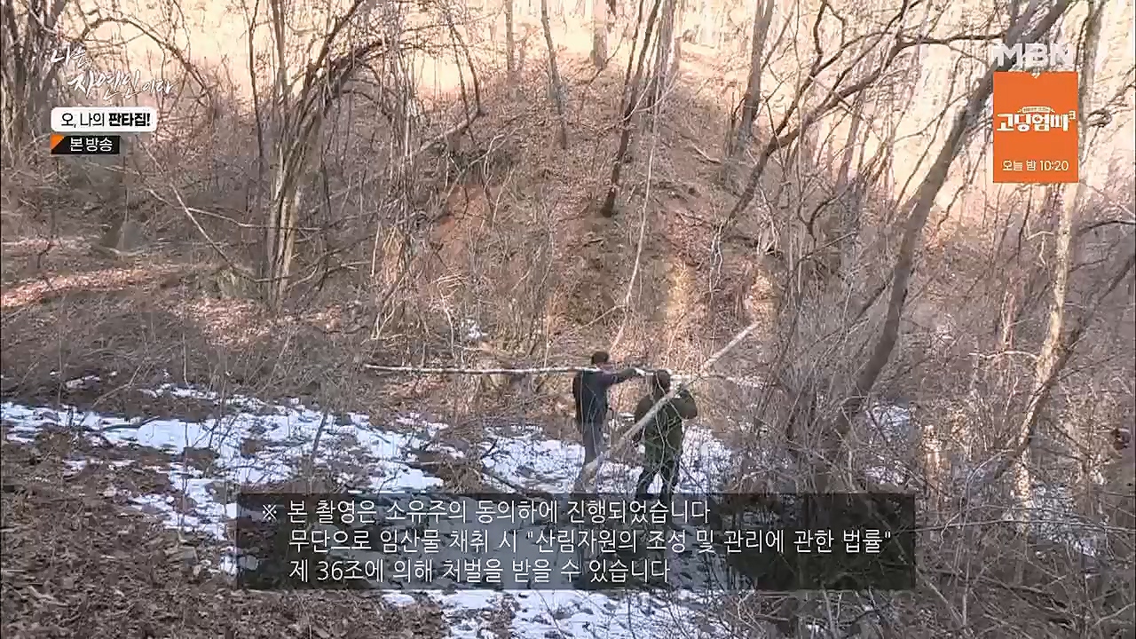 나는 자연인이다.E546.230323p.H264-F1RST.mp4_20230323_201539.976.jpg