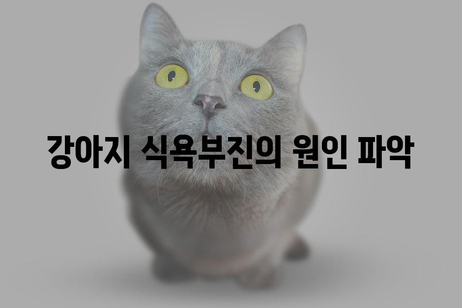 강아지 식욕부진의 원인 파악