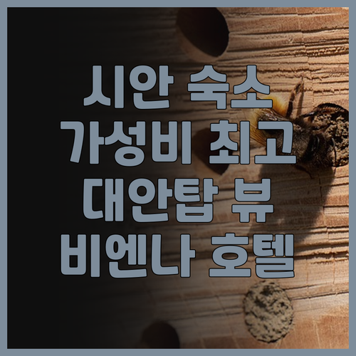 비엔나 인터내셔널 호텔, 시안, 가성