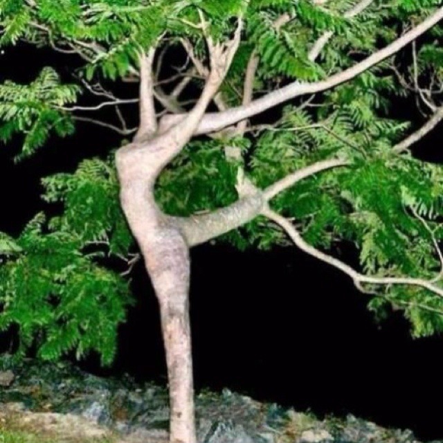 img.jpg