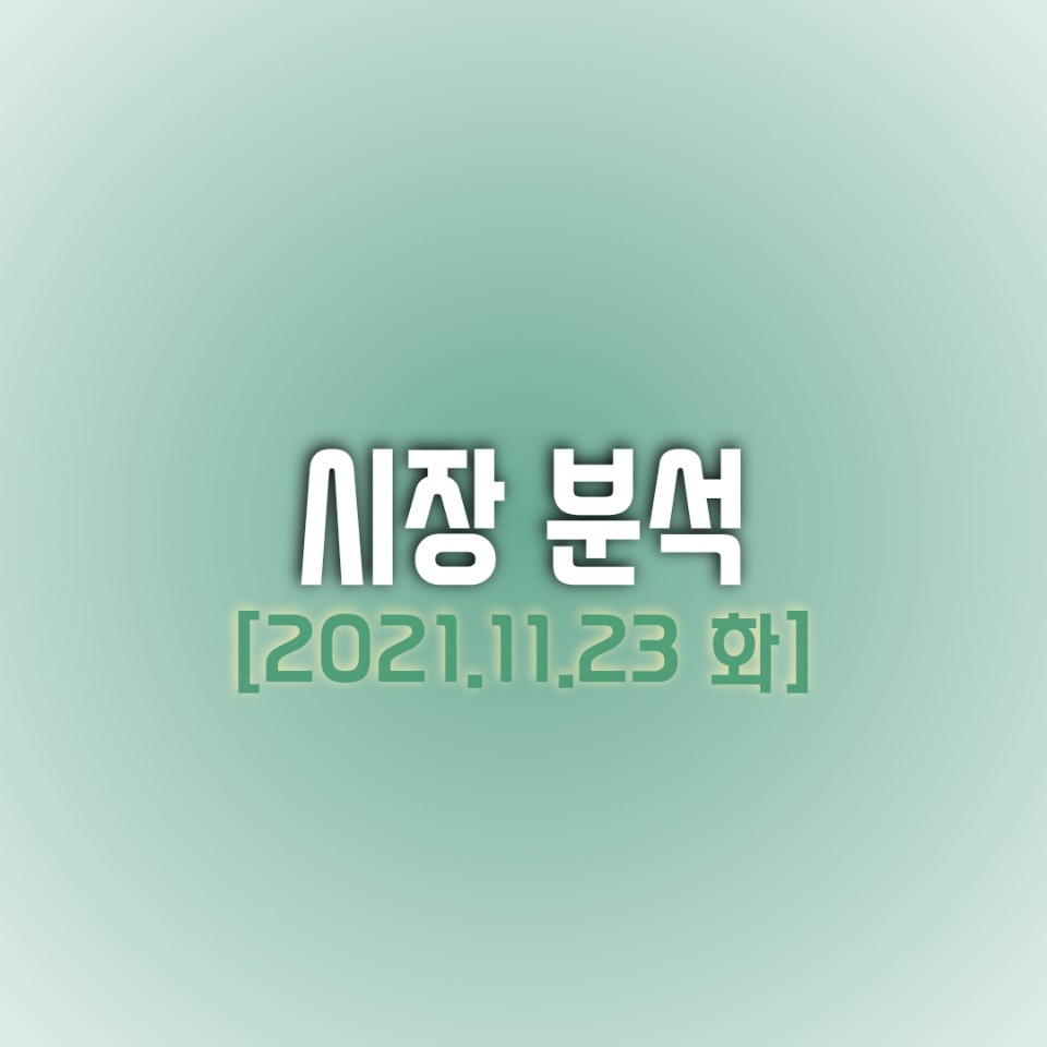  금일(11/23) 주식 시장 분석