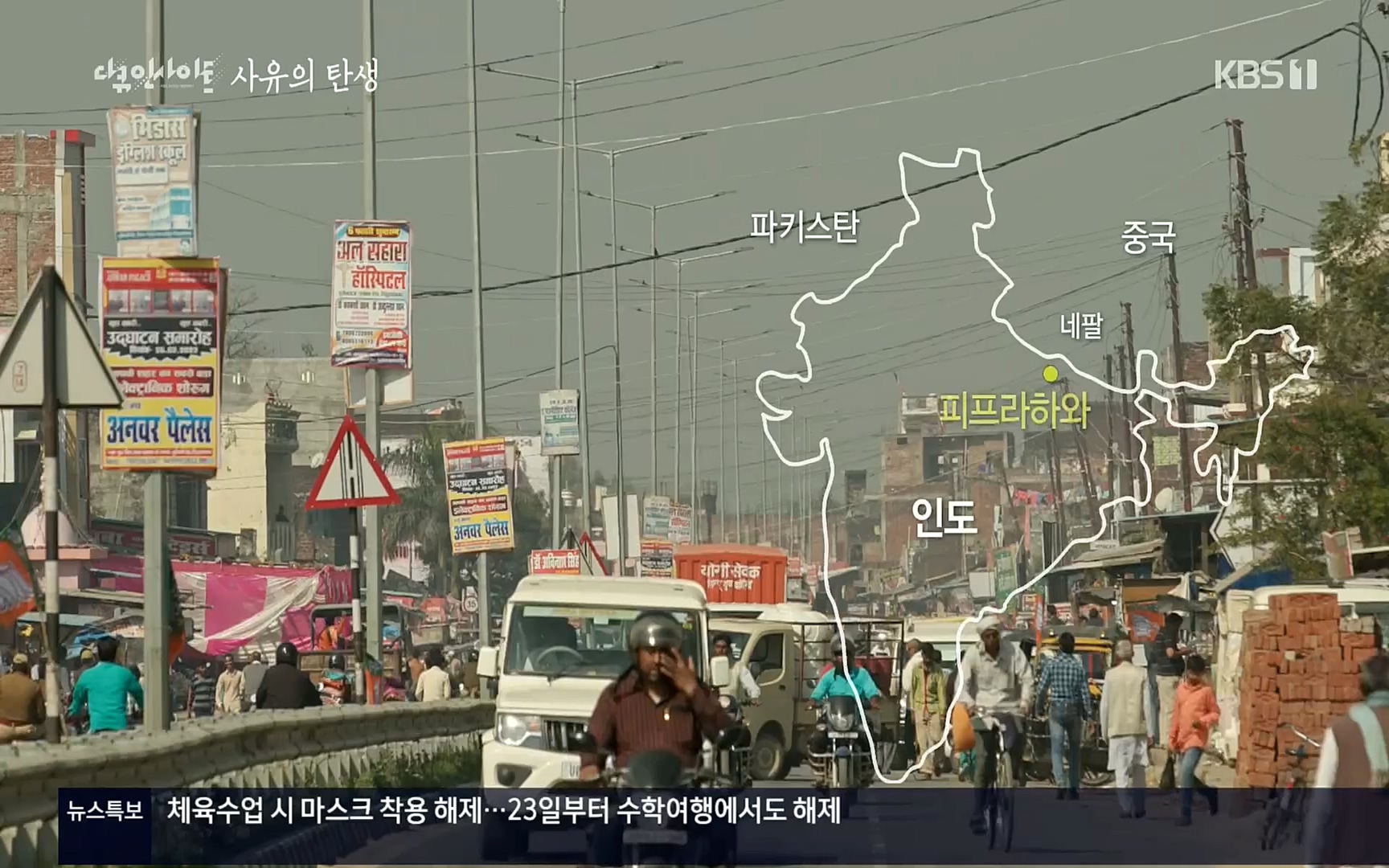 다큐 인사이트.E113.220519p.H264-F1RST.mp4_20220523_205654.590.jpg