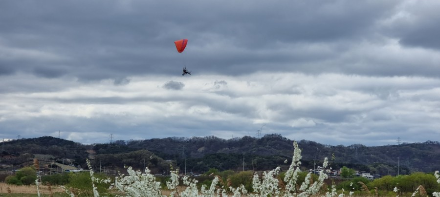 활용해서 주소 찾는 네이버 지번지도 3