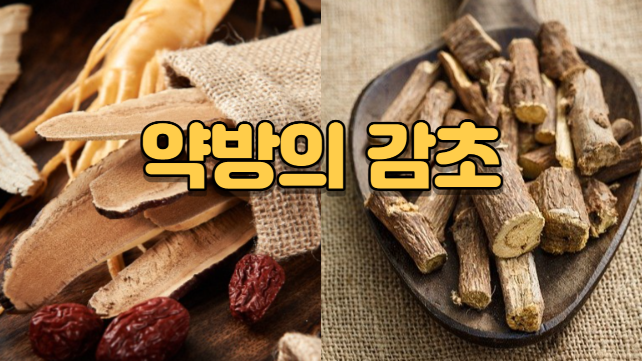  감초