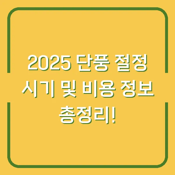 2025 단풍 절정 시기 및 비용 정보 총정리!