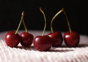  타트체리 효능 부작용 - 타트체리 알고 먹어야 합니다