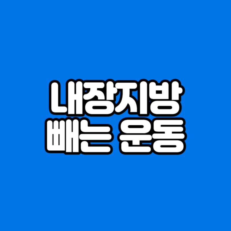 내장지방 빼는 운동