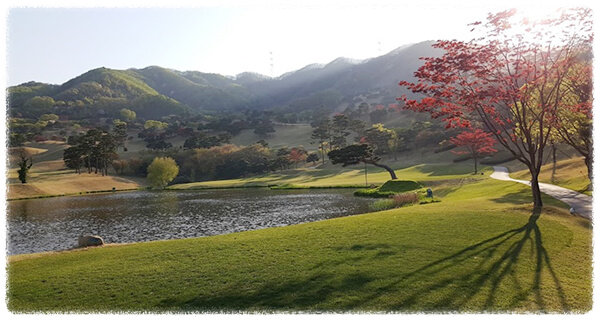 천룡cc전경3 