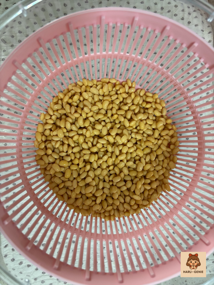콩나물키우기 1일차 야채탈수기에 담은 콩나물콩Soybeans in vegetable spinner for Day 1 of sprout growing