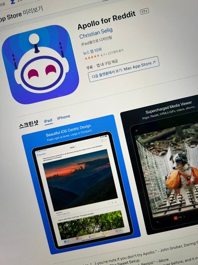 다이나믹 아일랜드 고양이를 설정할 수 있는 어플 apollo 사진입니다