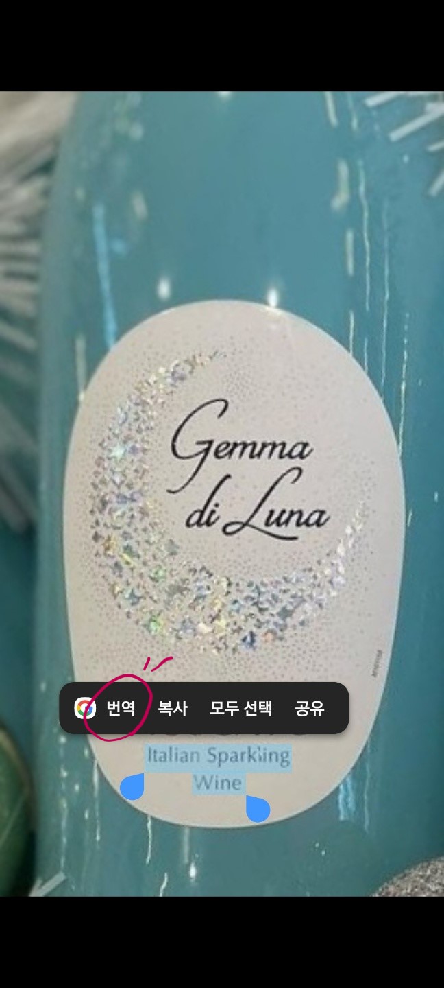 사진 텍스트 번역하기