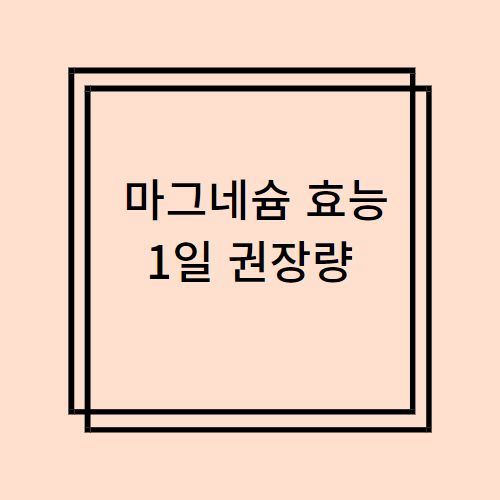 마그네슘 효능