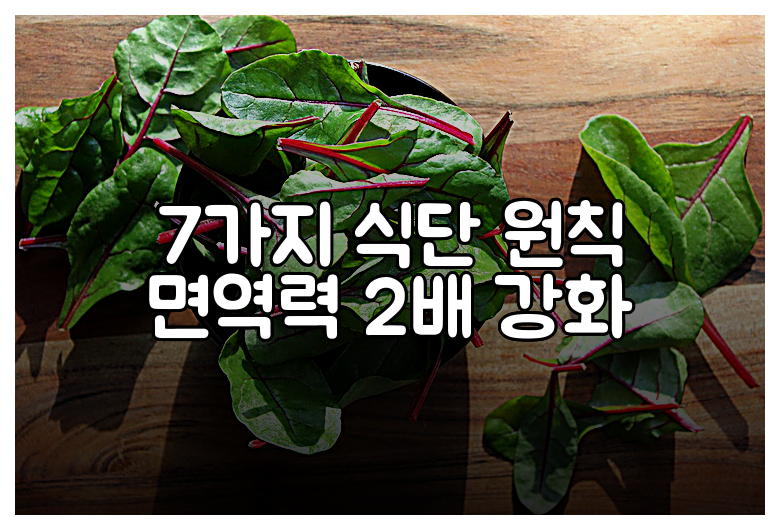 7가지 식단 원칙 면역력 2배 강화