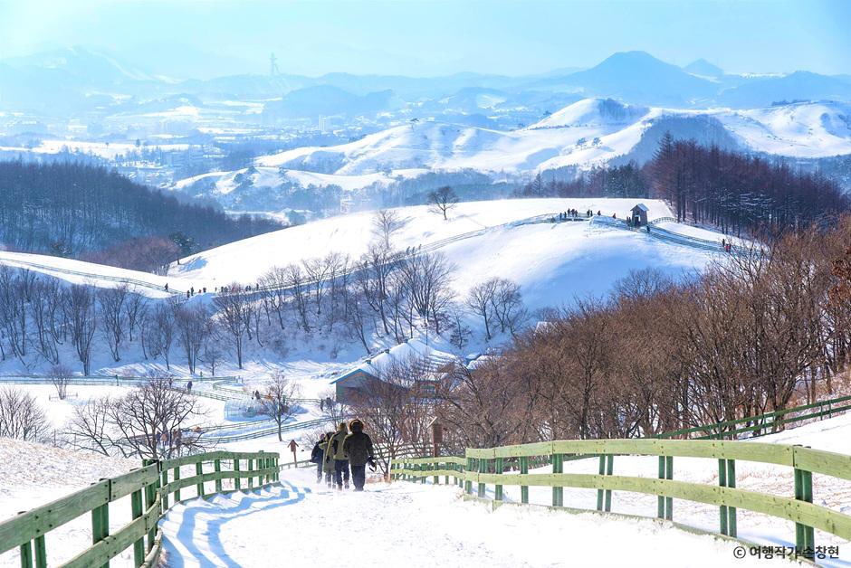 평창 대관령