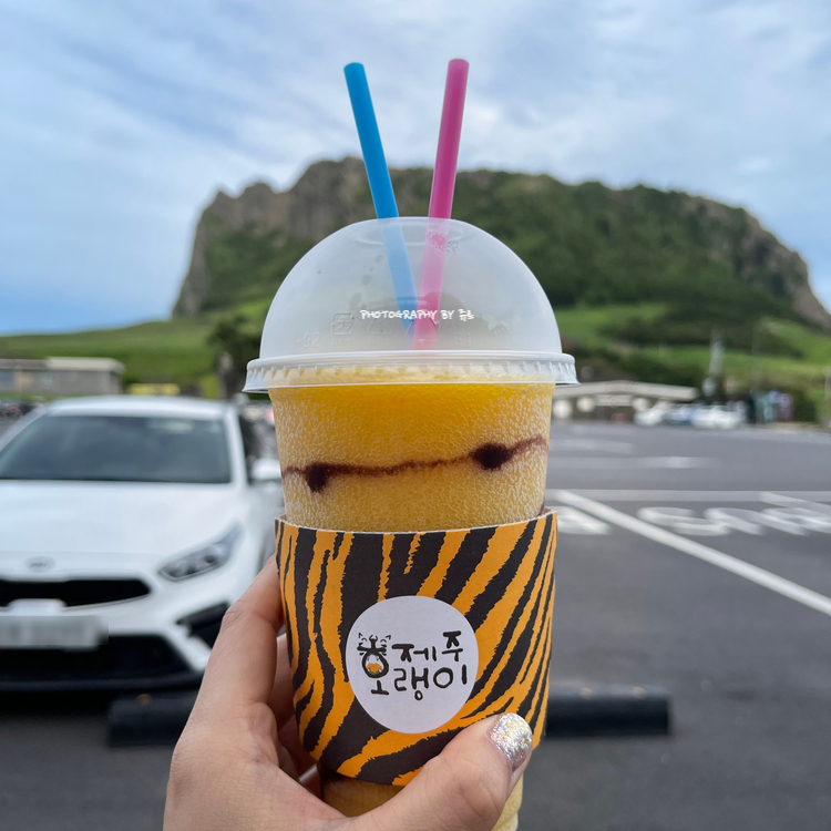  제주여행 : 제주호랭이 성산점 / 성산일출봉 뷰 카페