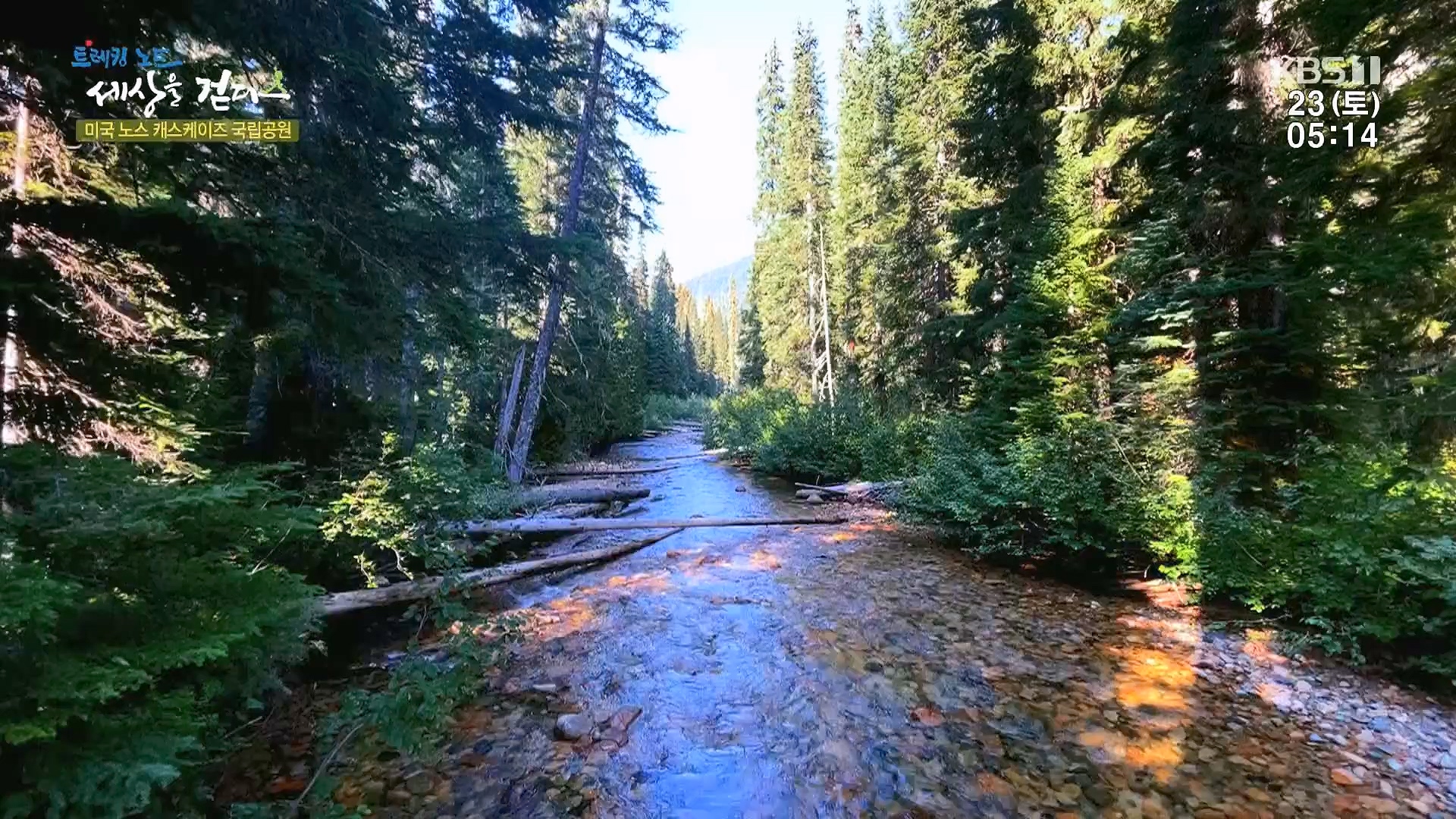 트레킹노트 세상을 걷다.E300.231223p.H264-F1RST.mp4_20240626_204659.129.jpg