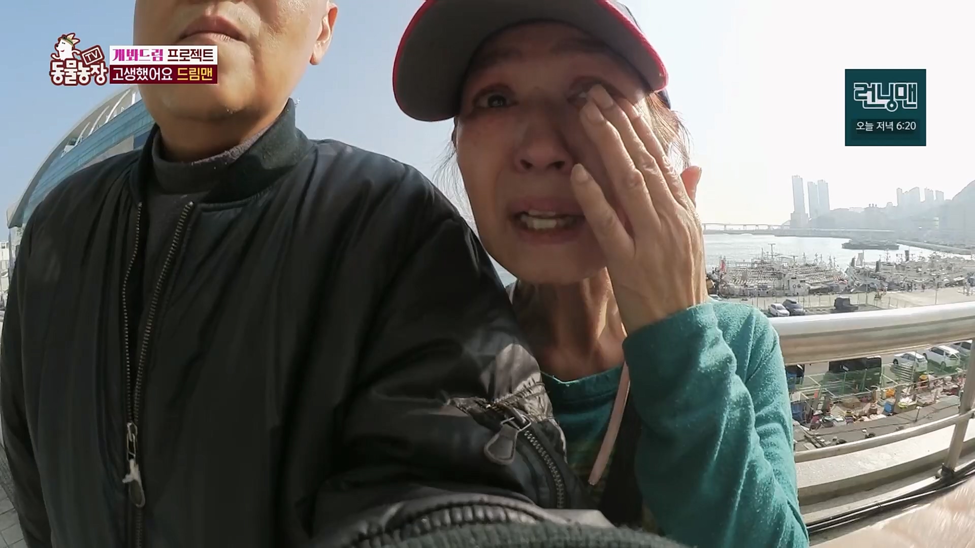 TV 동물농장.E1103.230108p.H264-F1RST.mp4_20230108_174652.260.jpg