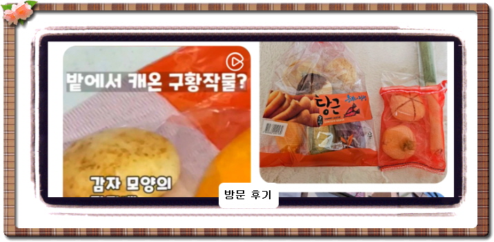 식스센스 시티투어 구황작물 빵집 7회