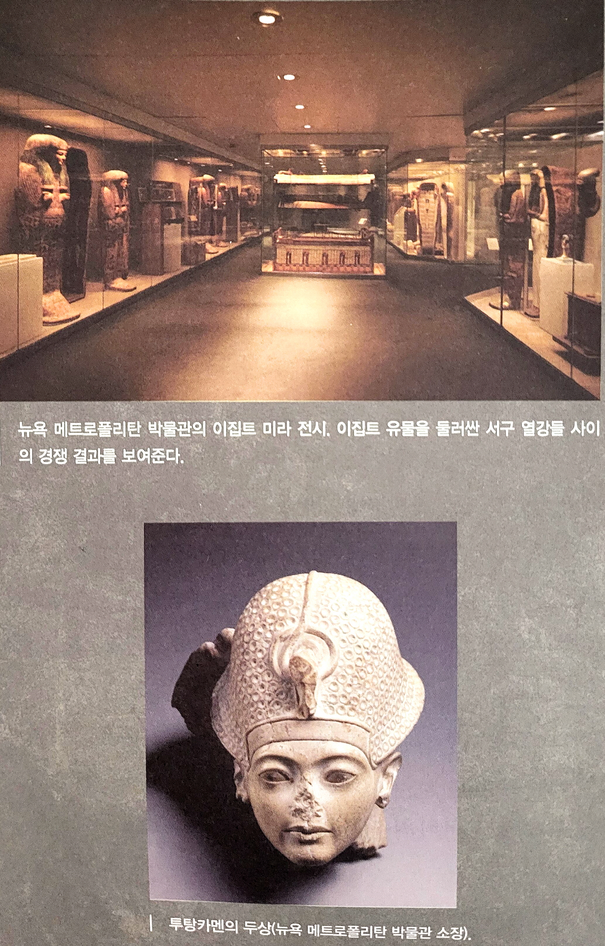 미라 이미지