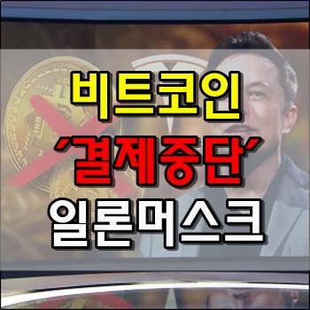  비트코인 결제중단한 일론 머스크 가상화폐 폭락