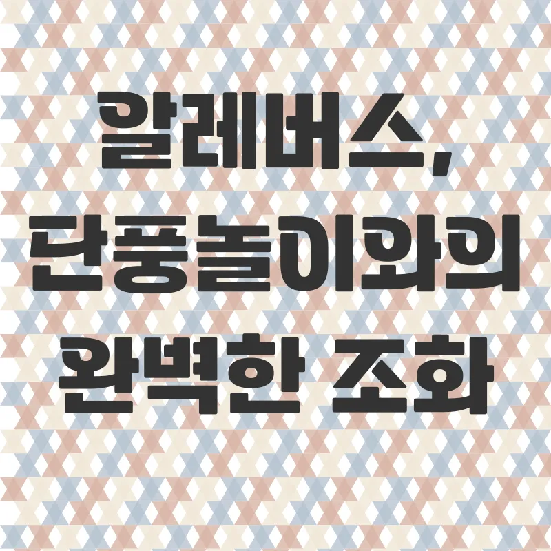알레버스 내장산 단풍여행_1