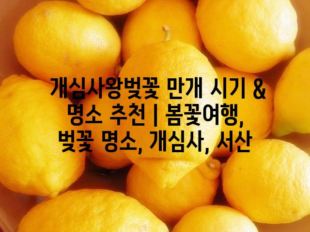 랜덤141