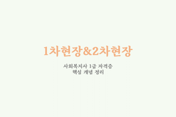  사회복지실천 1차현장 2차현장