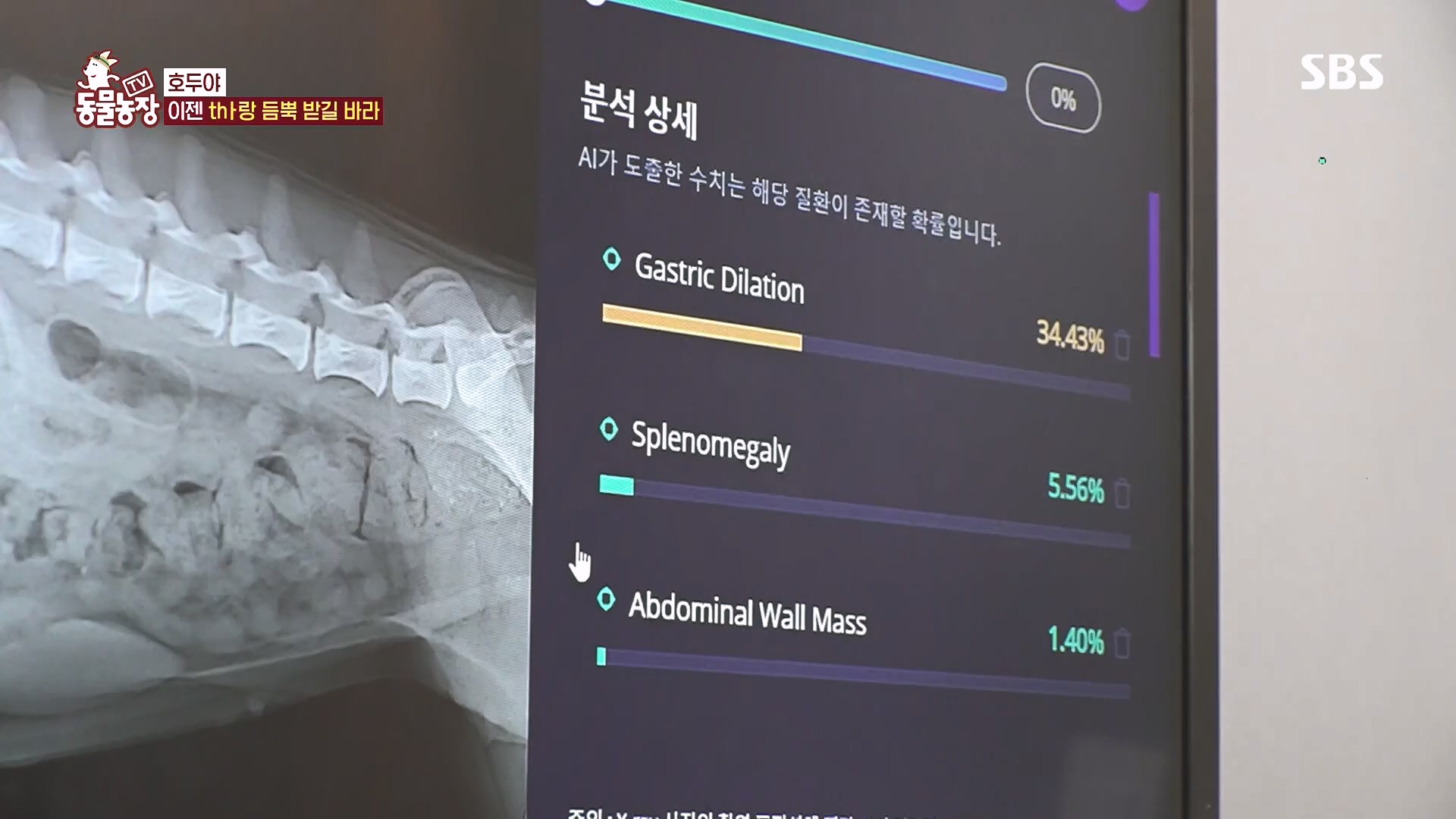 TV 동물농장.E1136.230903p.H264-F1RST.mp4_20230903_180351.939.jpg