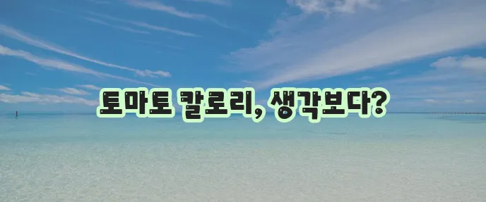 토마토 칼로리 얼마나 될까요 궁금하시죠?