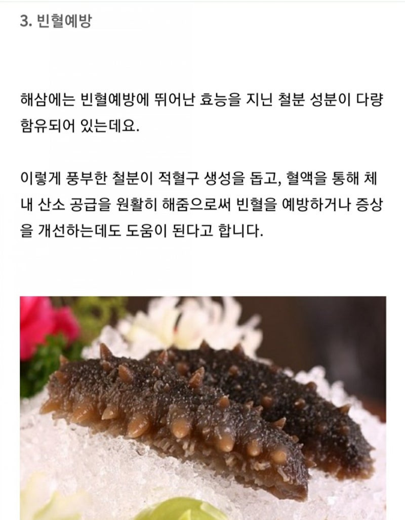 빈혈예방에 뛰어난 해삼