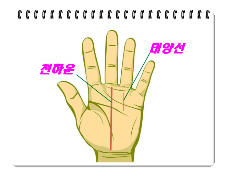  21세기 최고의 손금