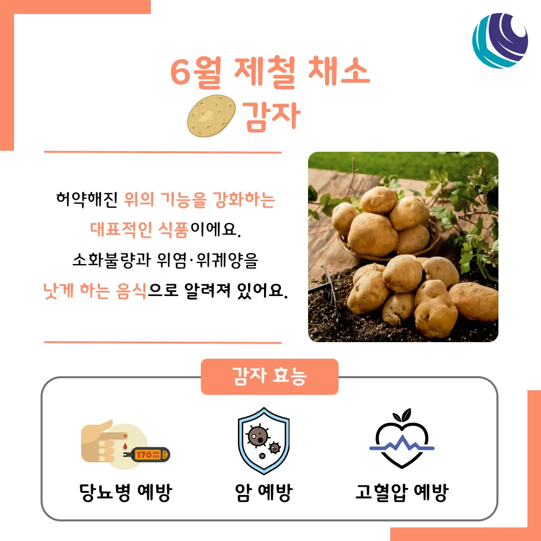 6월 제철 음식 추천 종류_2