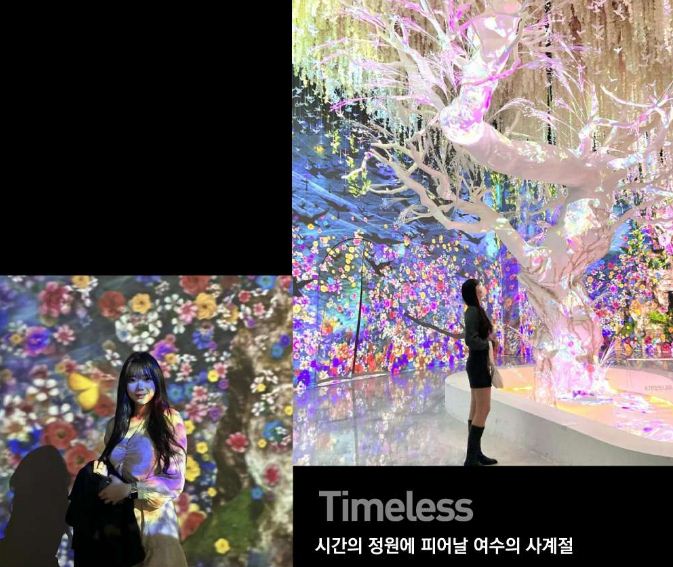 여수 녹차마레