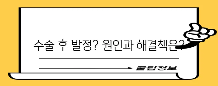 고양이 중성화 수술 후 발정, 제대로 이해하고 관리해야 합니다!