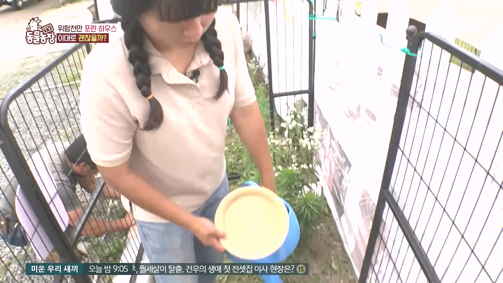 TV 동물농장.E1185.240818p.H264-F1RST.mp4_20240818_161605.512.jpg