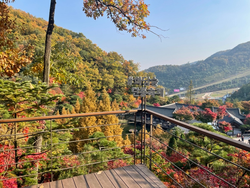 화담숲-단풍-사진