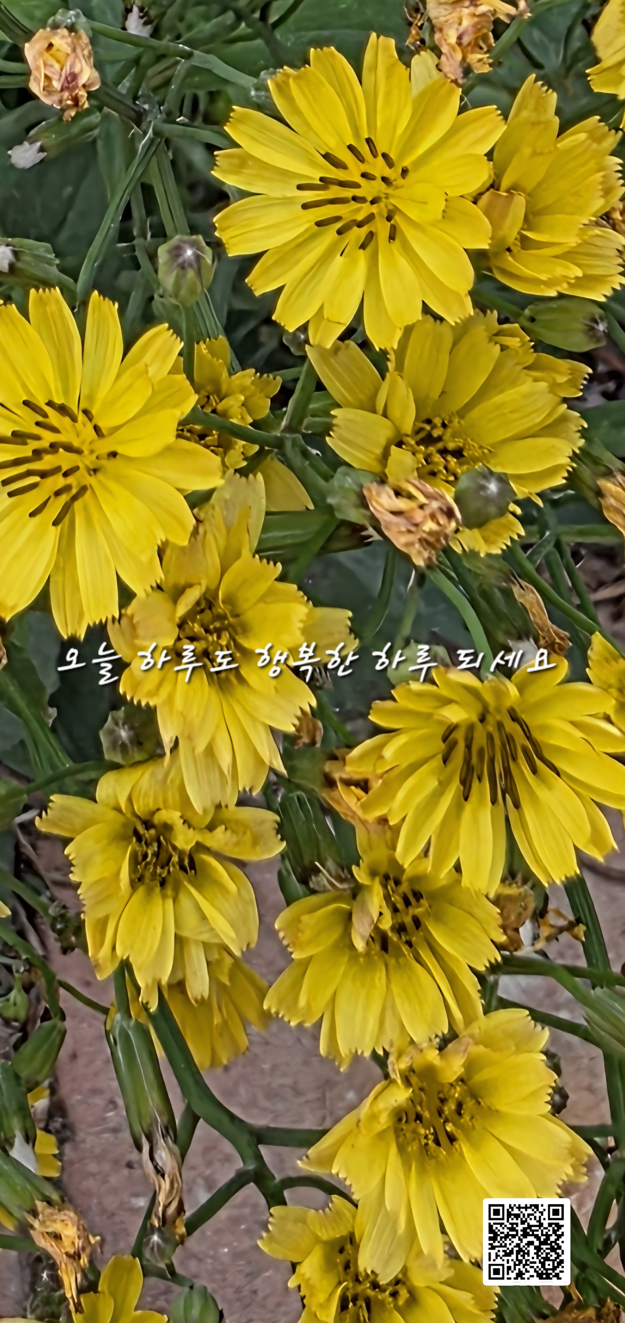 만남 이미지