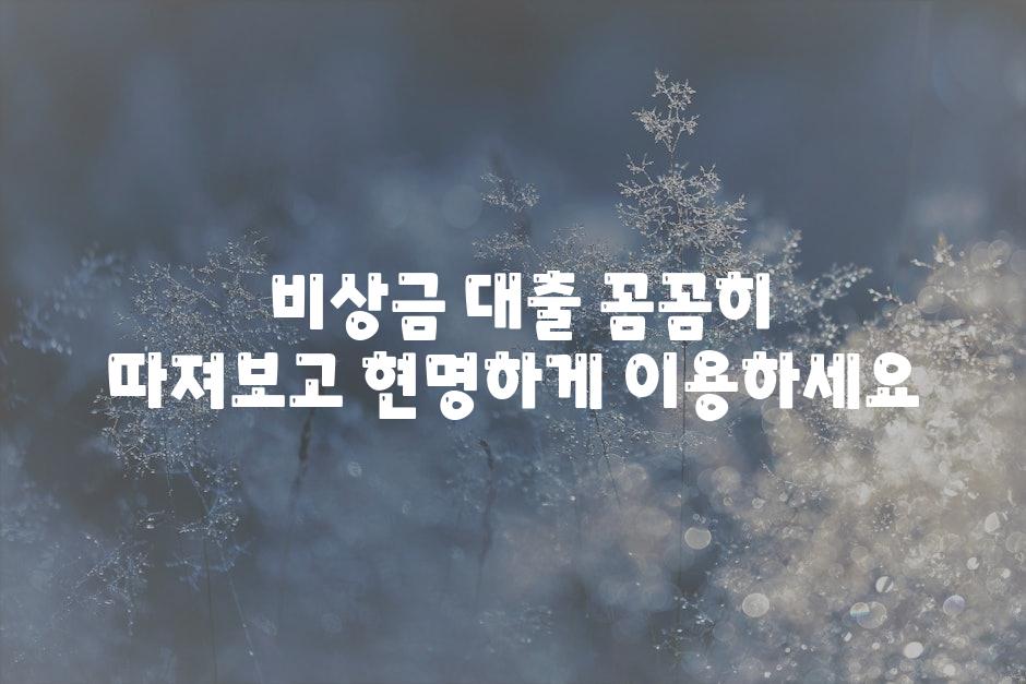  비상금 대출 꼼꼼히 따져보고 현명하게 이용하세요