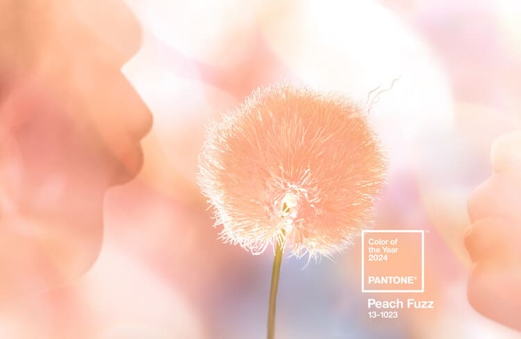 PANTONE-Color-of-the-Year-2024-Peach-Fuzz