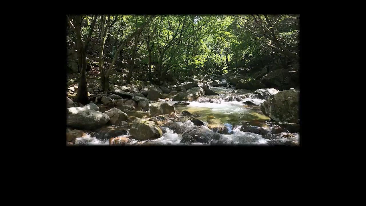 생로병사의 비밀.E883.230914p-NEXT.mp4_20230914_204631.627.jpg