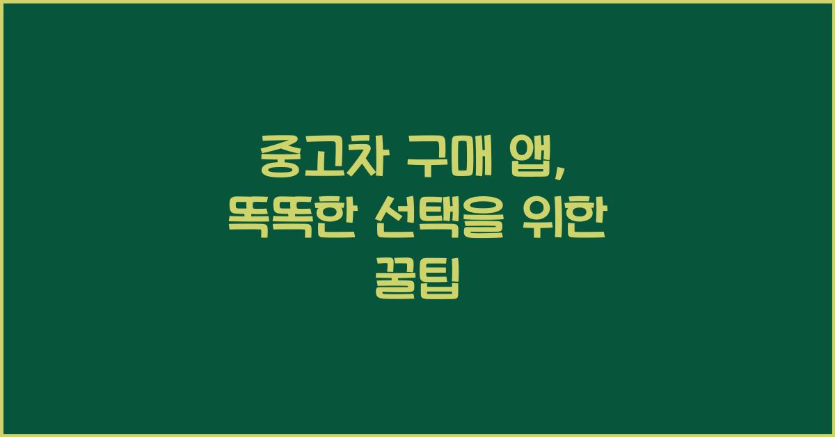 중고차 구매 앱